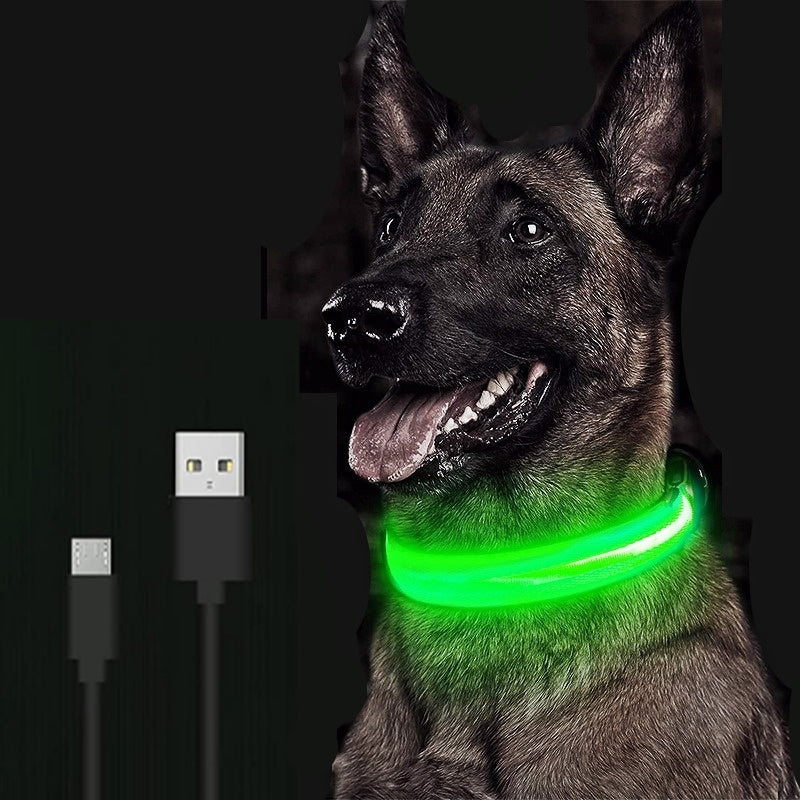 LED Glowing Dog Collar Night and Pet Safety Collar for Small Dogs and Cat