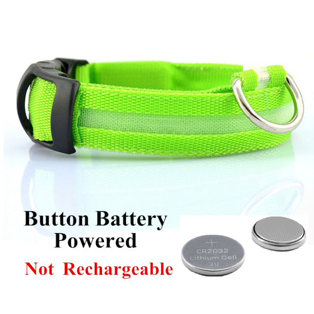 LED Glowing Dog Collar Night and Pet Safety Collar for Small Dogs and Cat