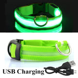 LED Glowing Dog Collar Night and Pet Safety Collar for Small Dogs and Cat