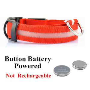 LED Glowing Dog Collar Night and Pet Safety Collar for Small Dogs and Cat