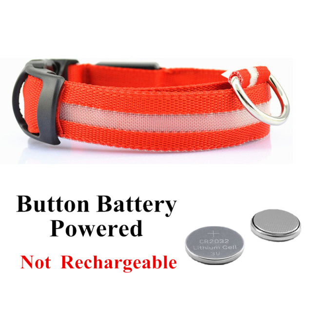 LED Glowing Dog Collar Night and Pet Safety Collar for Small Dogs and Cat