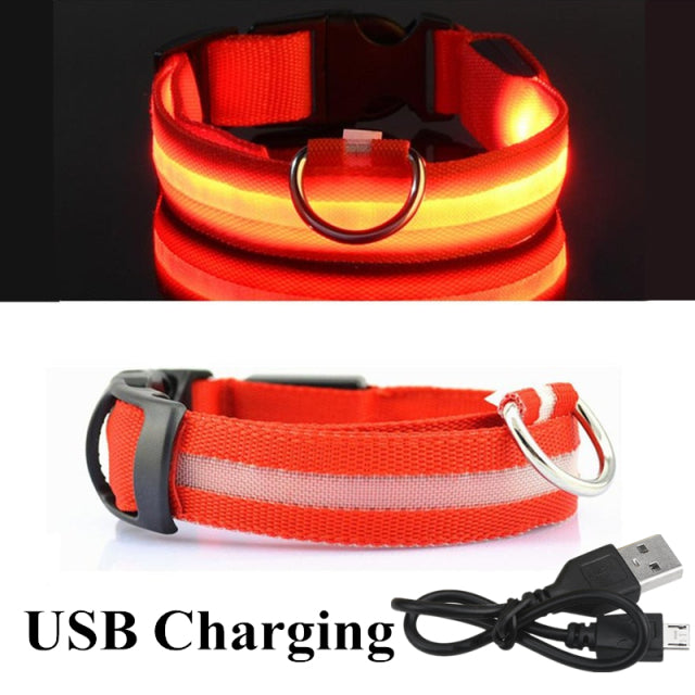 LED Glowing Dog Collar Night and Pet Safety Collar for Small Dogs and Cat
