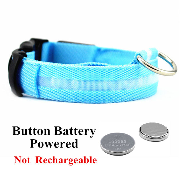 LED Glowing Dog Collar Night and Pet Safety Collar for Small Dogs and Cat