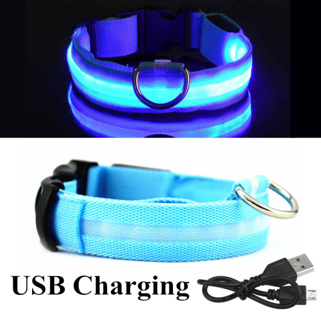 LED Glowing Dog Collar Night and Pet Safety Collar for Small Dogs and Cat