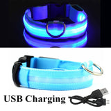 LED Glowing Dog Collar Night and Pet Safety Collar for Small Dogs and Cat