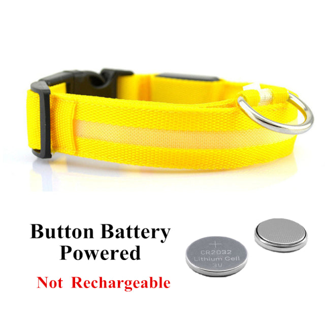 LED Glowing Dog Collar Night and Pet Safety Collar for Small Dogs and Cat