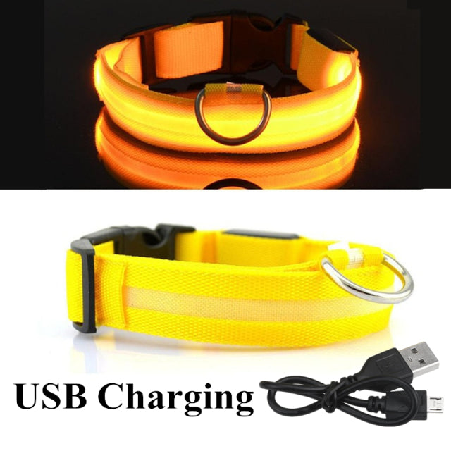 LED Glowing Dog Collar Night and Pet Safety Collar for Small Dogs and Cat