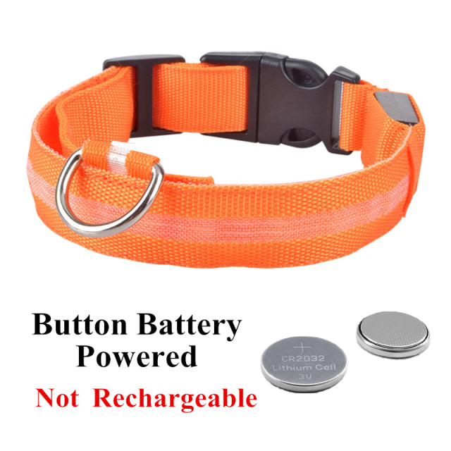 LED Glowing Dog Collar Night and Pet Safety Collar for Small Dogs and Cat