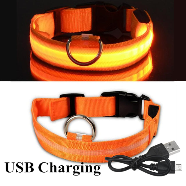 LED Glowing Dog Collar Night and Pet Safety Collar for Small Dogs and Cat