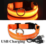 LED Glowing Dog Collar Night and Pet Safety Collar for Small Dogs and Cat