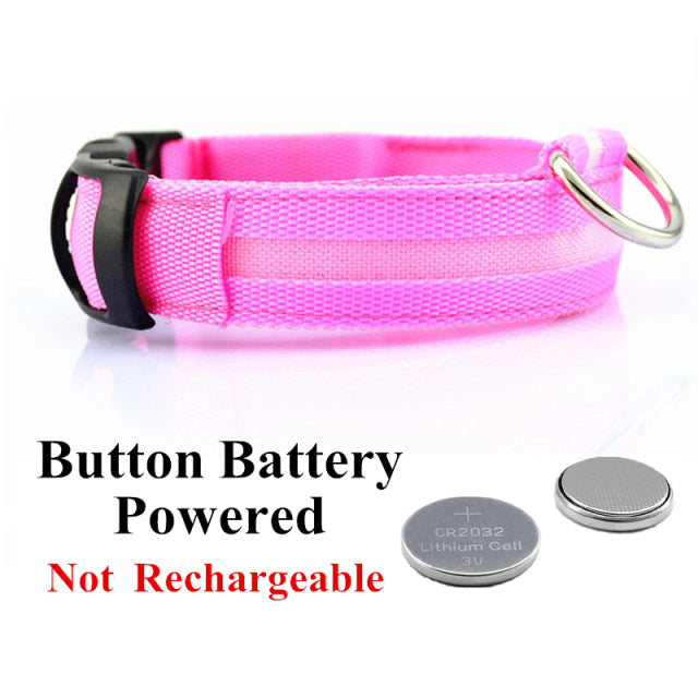 LED Glowing Dog Collar Night and Pet Safety Collar for Small Dogs and Cat