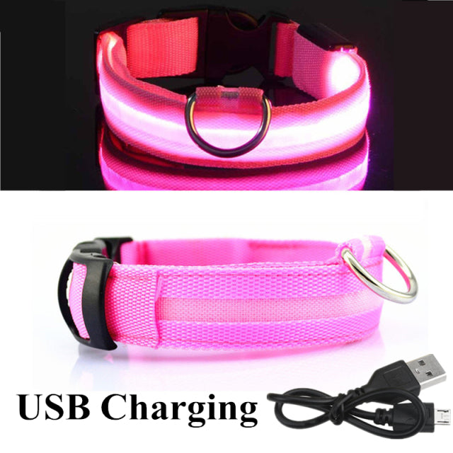 LED Glowing Dog Collar Night and Pet Safety Collar for Small Dogs and Cat