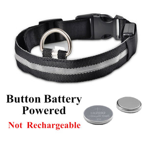 LED Glowing Dog Collar Night and Pet Safety Collar for Small Dogs and Cat