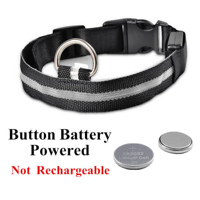 LED Glowing Dog Collar Night and Pet Safety Collar for Small Dogs and Cat