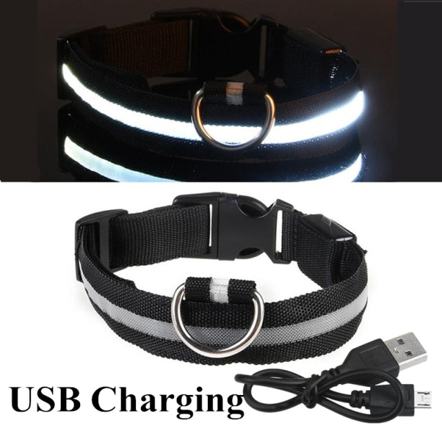 LED Glowing Dog Collar Night and Pet Safety Collar for Small Dogs and Cat